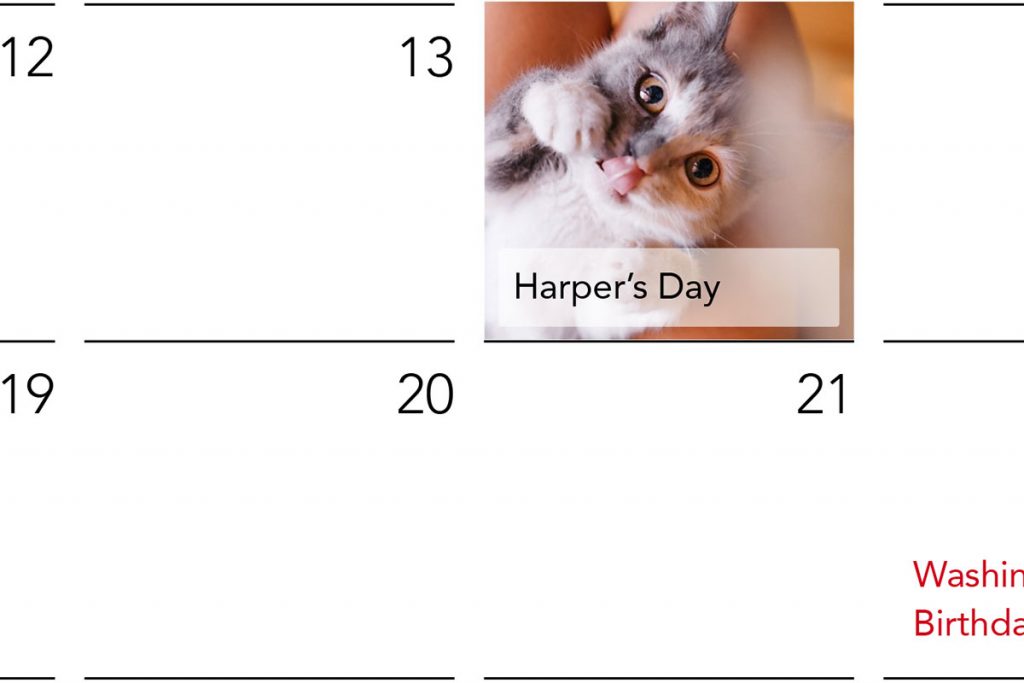 A custom photo calendar with a picture of a cat on their birthday | Motif